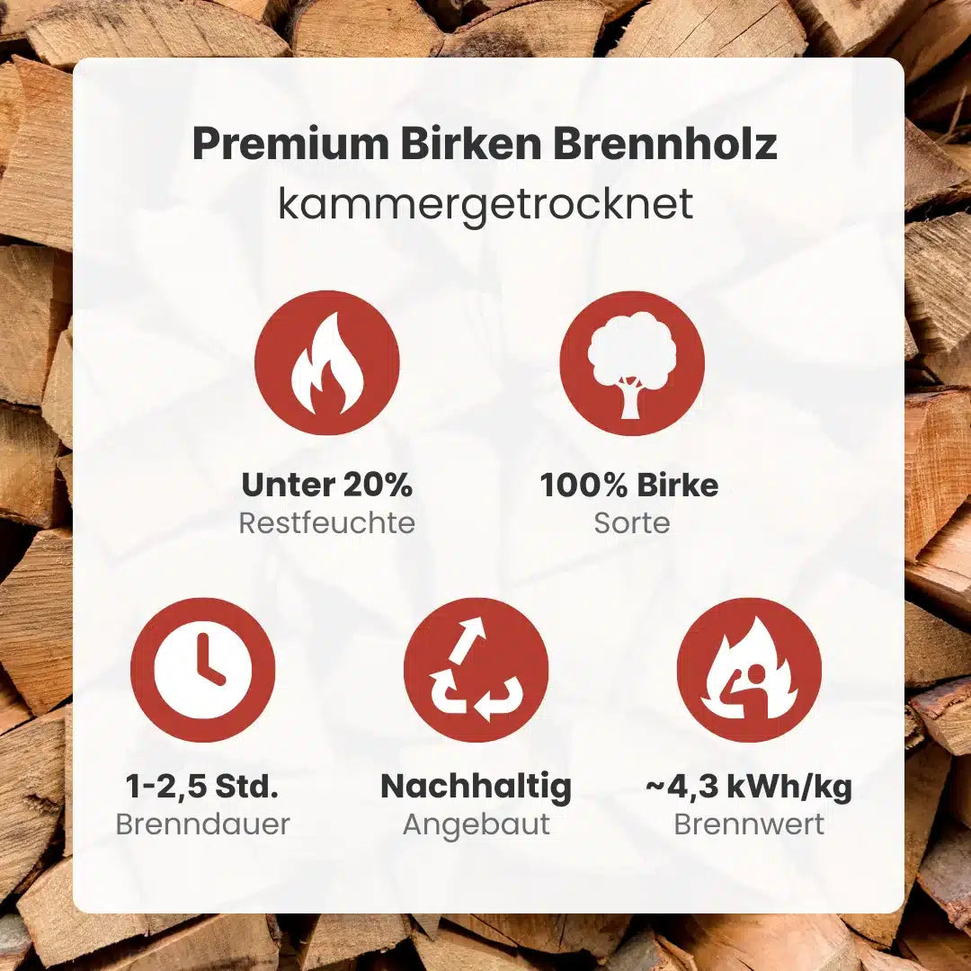 Kaminholz Birke kammergetrocknet